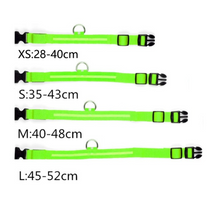 Lade das Bild in den Galerie-Viewer, LED Leuchthalsband LightProtect – Ein sicherer Wegbegleiter (20% Rabatt)