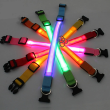 Lade das Bild in den Galerie-Viewer, LED Leuchthalsband LightProtect – Ein sicherer Wegbegleiter (20% Rabatt)