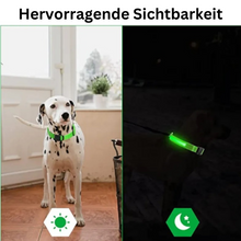 Lade das Bild in den Galerie-Viewer, LED Leuchthalsband LightProtect – Ein sicherer Wegbegleiter (20% Rabatt)