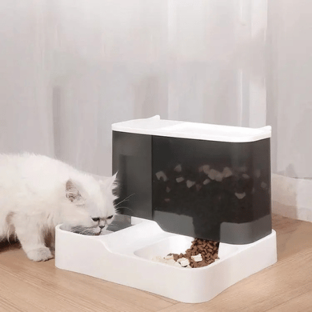 SmartFeeder – Wasser- und Futterstation für einfaches Füttern (35% Rabatt)
