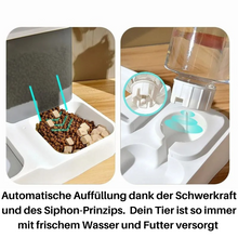 Lade das Bild in den Galerie-Viewer, SmartFeeder – Wasser- und Futterstation für einfaches Füttern (35% Rabatt)

