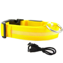 Lade das Bild in den Galerie-Viewer, LED Leuchthalsband LightProtect – Ein sicherer Wegbegleiter (20% Rabatt)

