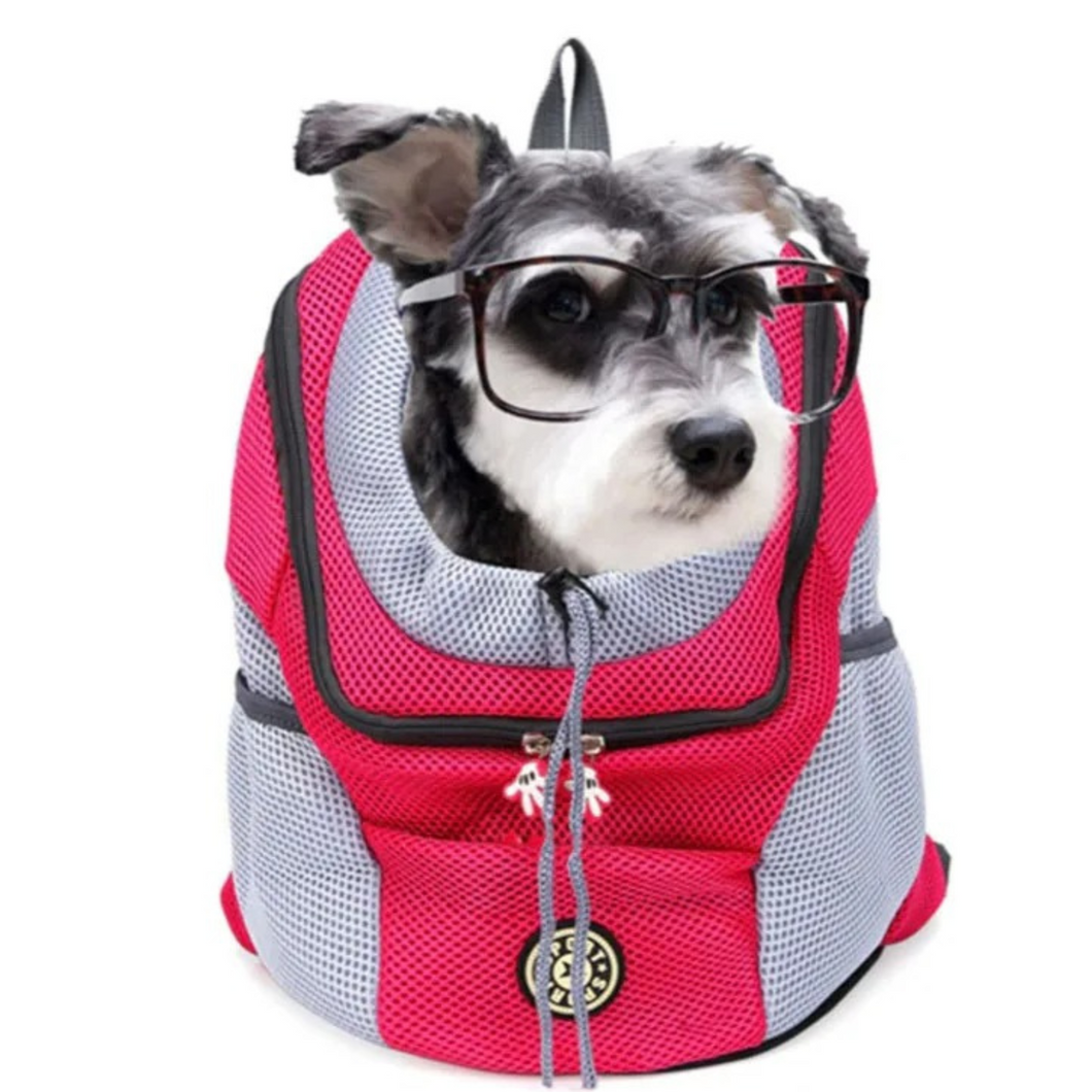 DogCarrier – Hunderucksack zum bequemen Transport (30% Rabatt)