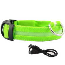 Lade das Bild in den Galerie-Viewer, LED Leuchthalsband LightProtect – Ein sicherer Wegbegleiter (20% Rabatt)
