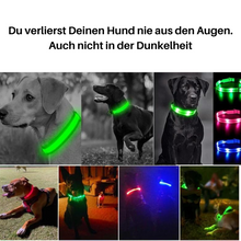 Lade das Bild in den Galerie-Viewer, LED Leuchthalsband LightProtect – Ein sicherer Wegbegleiter (20% Rabatt)
