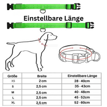 Lade das Bild in den Galerie-Viewer, LED Leuchthalsband LightProtect – Ein sicherer Wegbegleiter (20% Rabatt)
