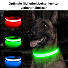 Lade das Bild in den Galerie-Viewer, LED Leuchthalsband LightProtect – Ein sicherer Wegbegleiter (20% Rabatt)
