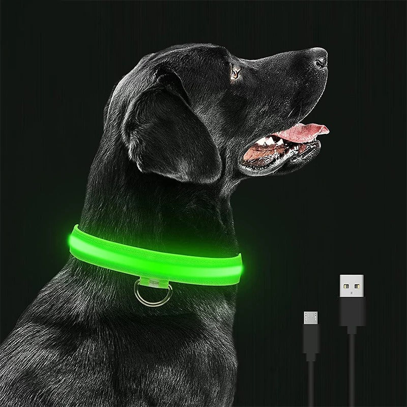 LED Leuchthalsband LightProtect – Ein sicherer Wegbegleiter (20% Rabatt)